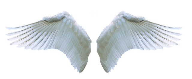 angels wings