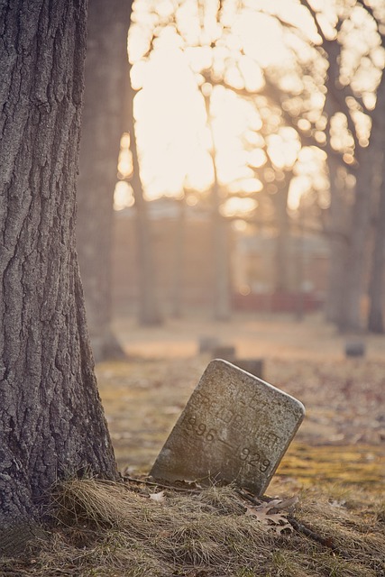 tombstone in graveyard