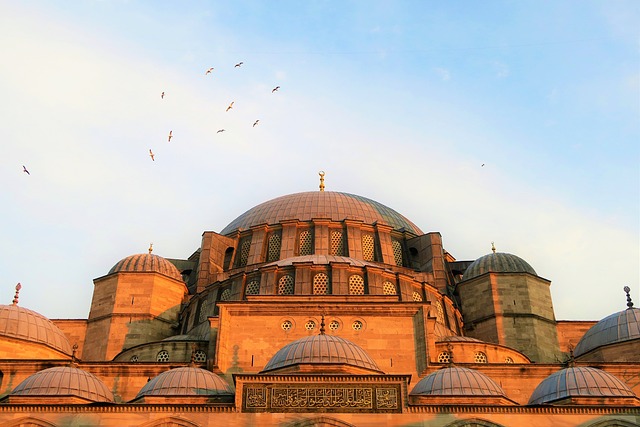  Suleymaniye Mosque in Istanbul, Turkey